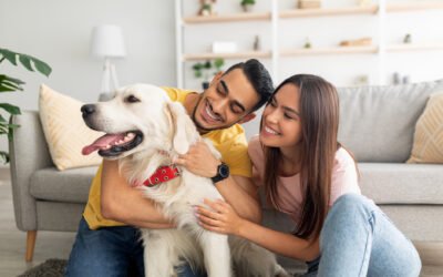 How to Make Your Apartment Cozy for Your Furry Friend