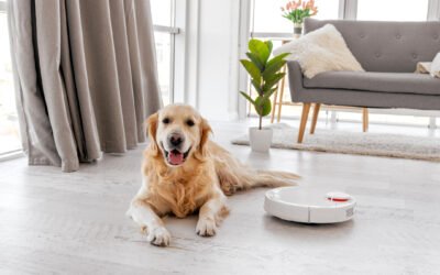 Keeping Your Luxury Apartment Clean With a Dog