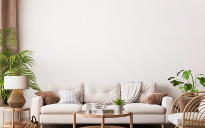 Sustainable Shopping and Decorating Tips for Apartment Dwellers