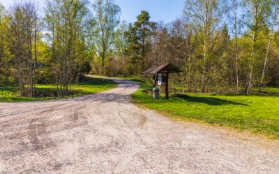 Late Summer Activities in Durham NC: Patios, Trails & Local Spots
